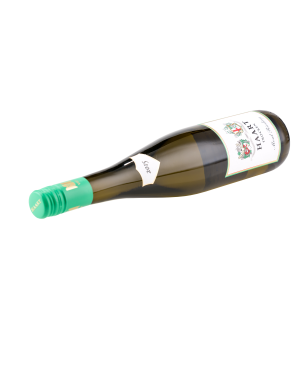 HAART Mosel Riesling 2024