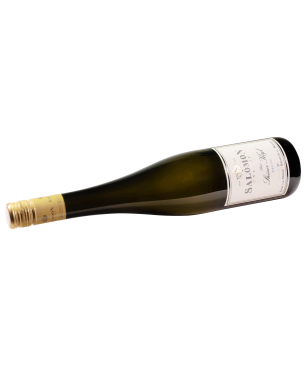 Salomon Undhof, Ried Steiner Kogl Reserve Riesling 1 DAC  2017