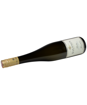 Salomon Undhof, Terrassen Riesling DAC Kremstal  2025