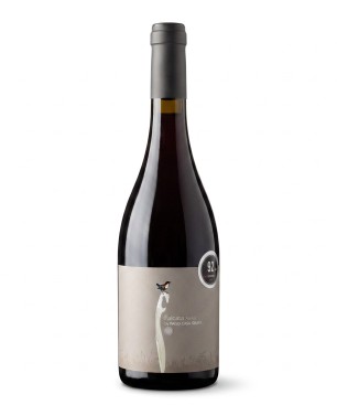 Pago Casa Gran Falcata Arenal Red 2022