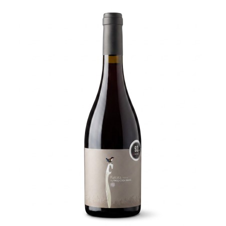 Pago Casa Gran Falcata Arenal Red 2022