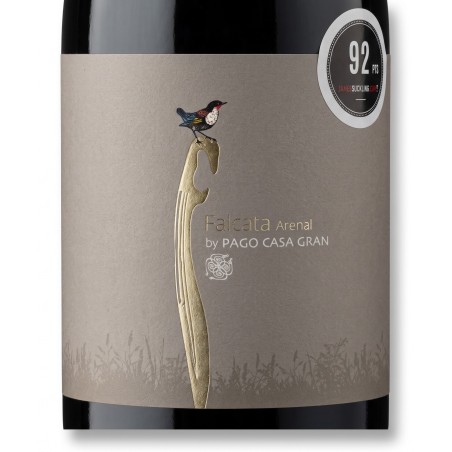 Pago Casa Gran Falcata Arenal Red 2022