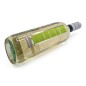 San Martino Pinot Grigio DOC Delle Venezia 2024 San Martino Pinot Grigio DOC Delle Venezia 2024