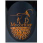 Champagne De Sousa, Mycorhize Grand Cru Extra Brut Champagne De Sousa, Mycorhize Grand Cru Extra Brut